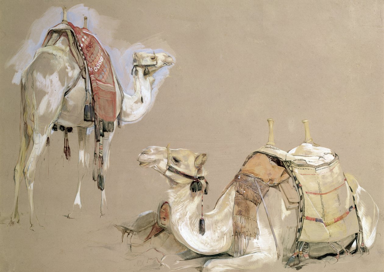Kamelstudier af John Frederick Lewis