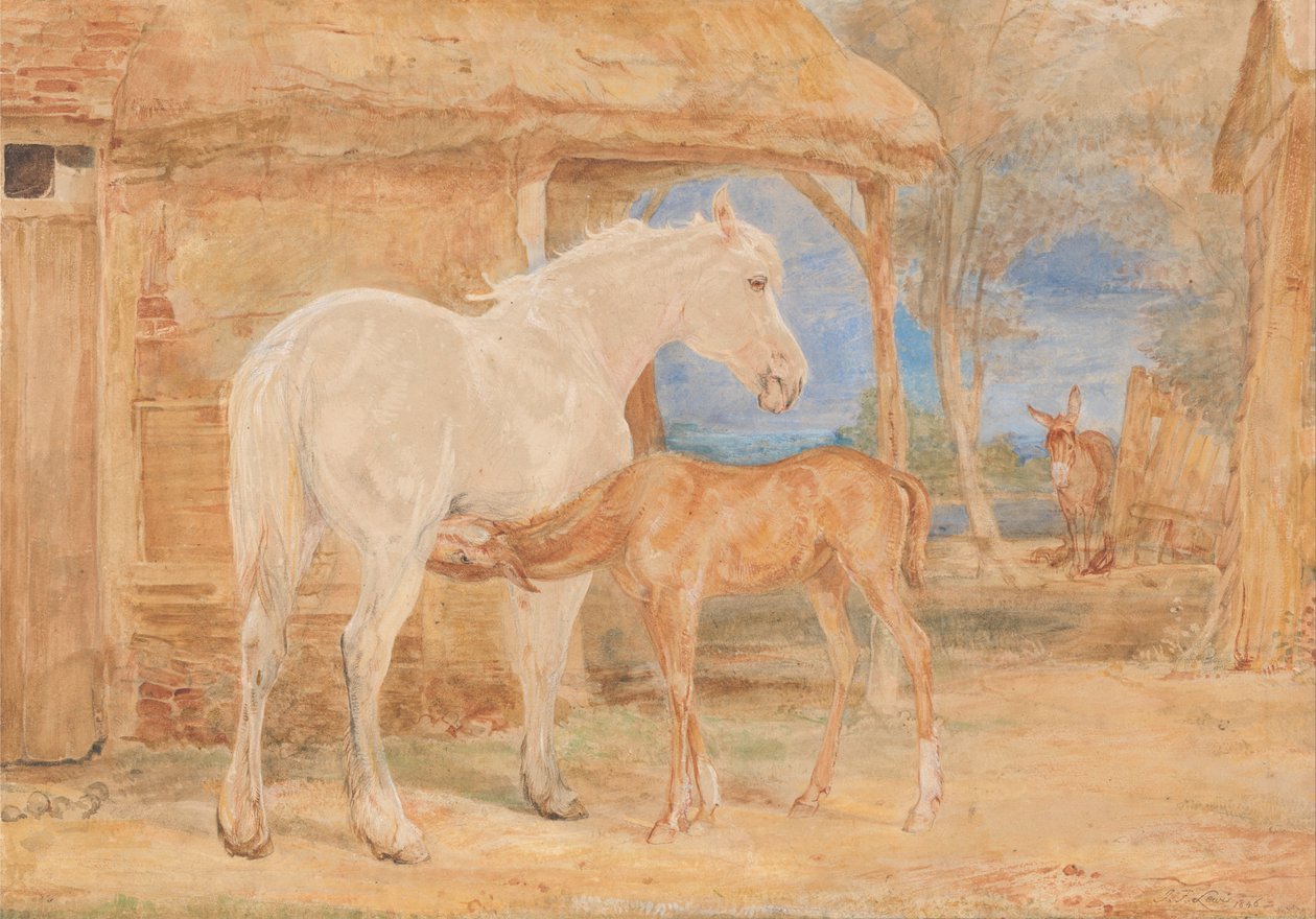 Grå hoppe og kastanjefarvet føl af John Frederick Lewis