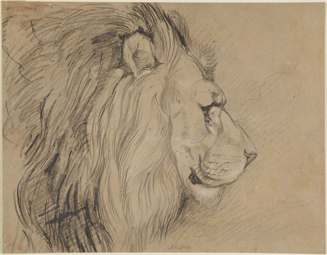 Løve af John Frederick Lewis