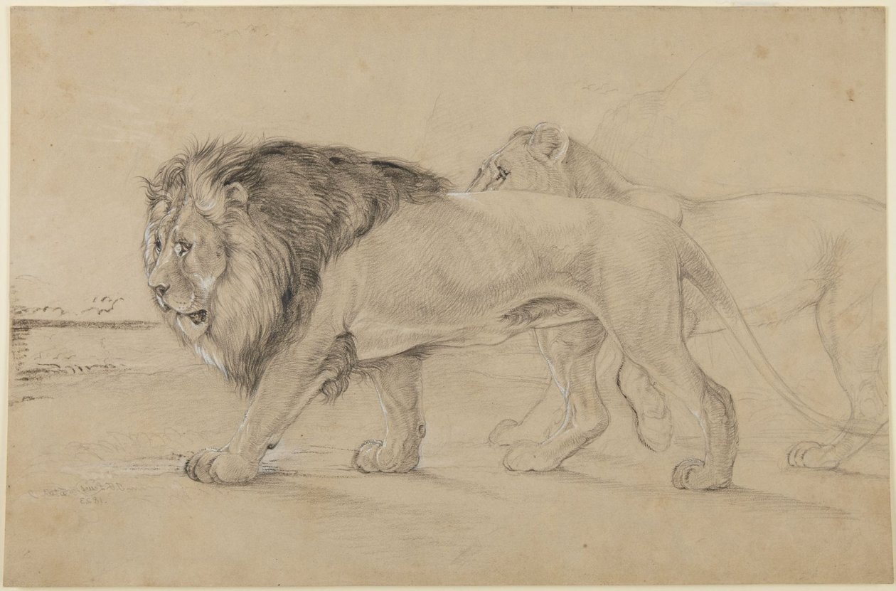 Lions af John Frederick Lewis