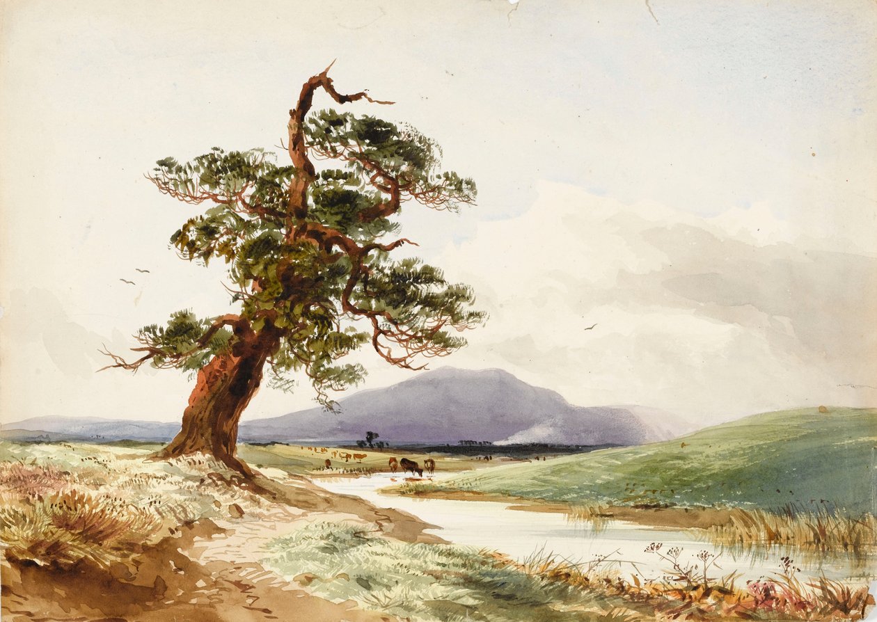 Udsigt til et træ nær en flod med kvæg, der drikker, og en lilla bakke bagved af John Frederick William Herschel