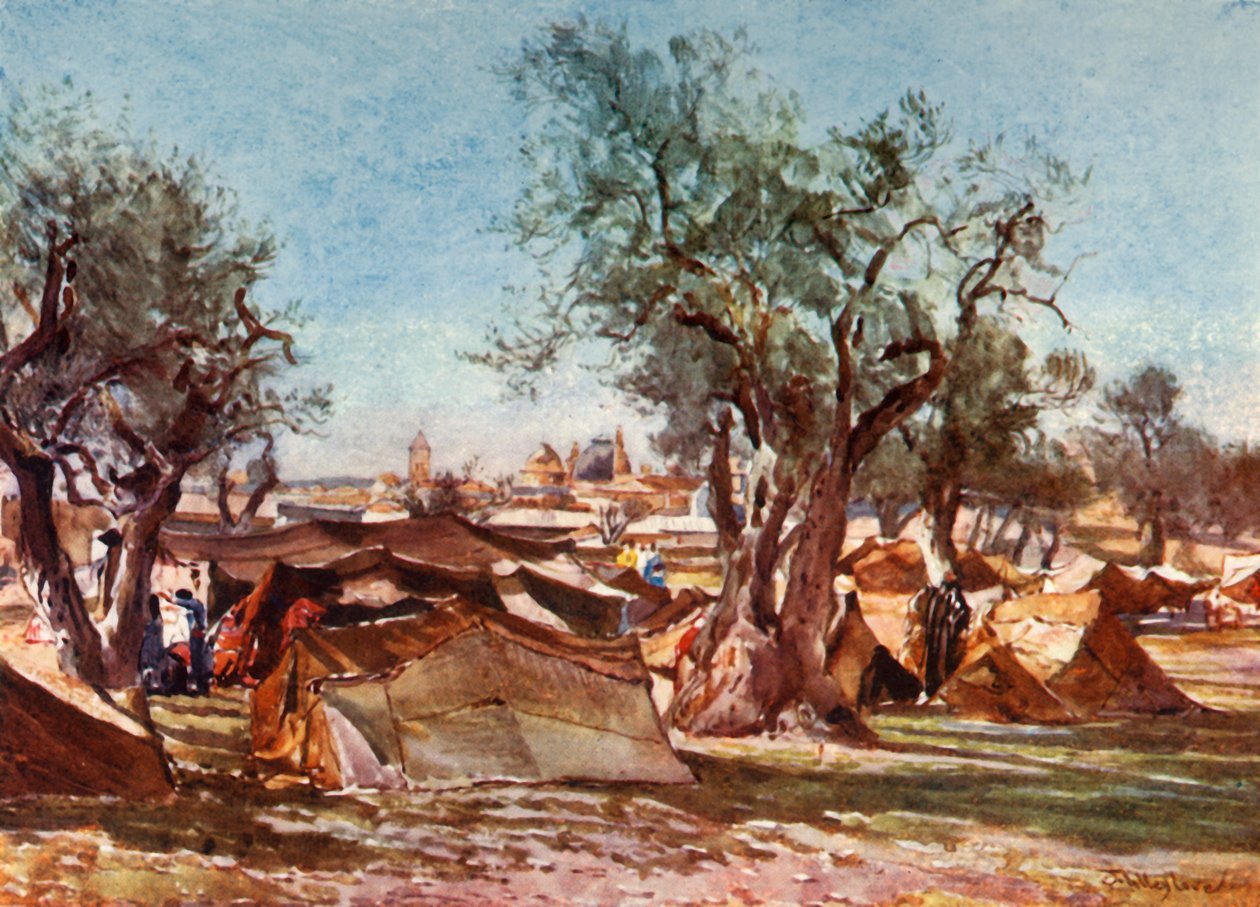 Beduinlejr uden for Jerusalems nordmur, 1902. af John Fulleylove