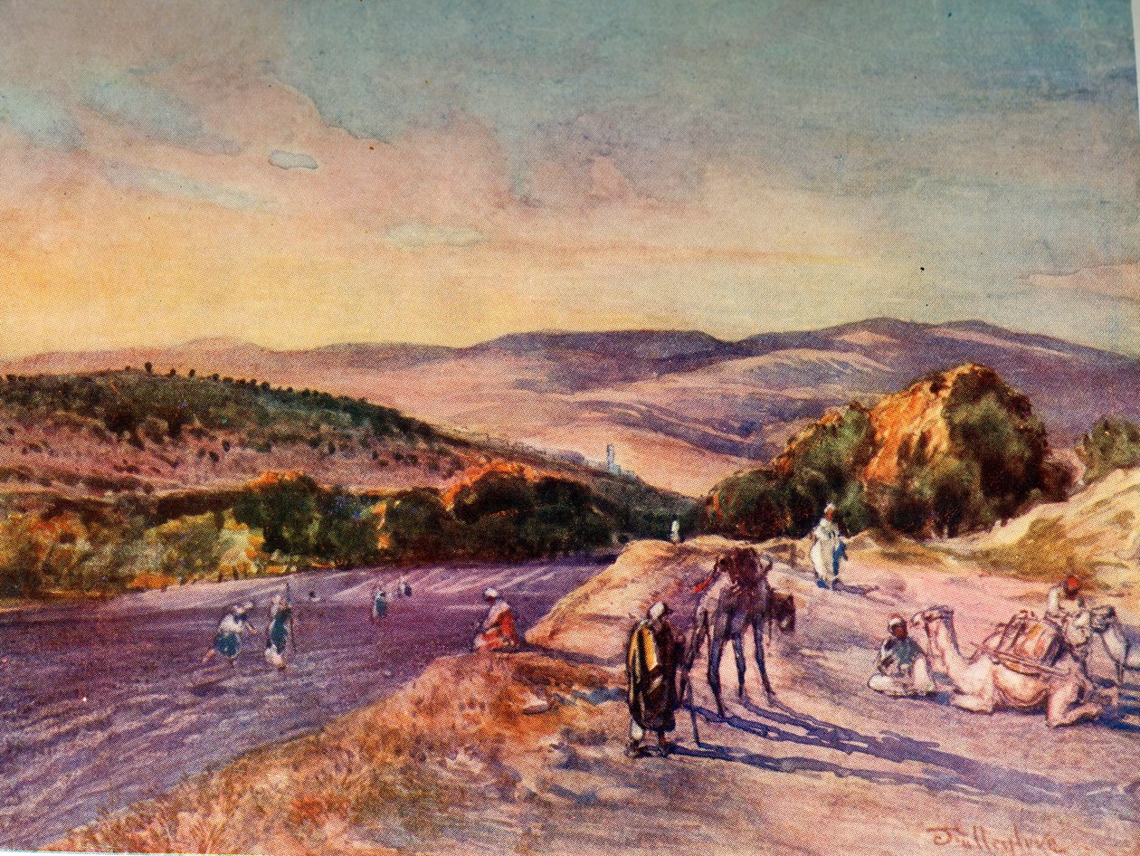 Stedet for den antikke by Samaria, 1902. af John Fulleylove