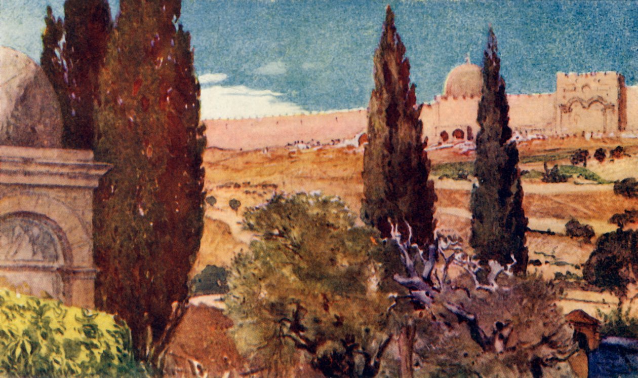 Cypresserne i Getsemane Have, 1902. af John Fulleylove