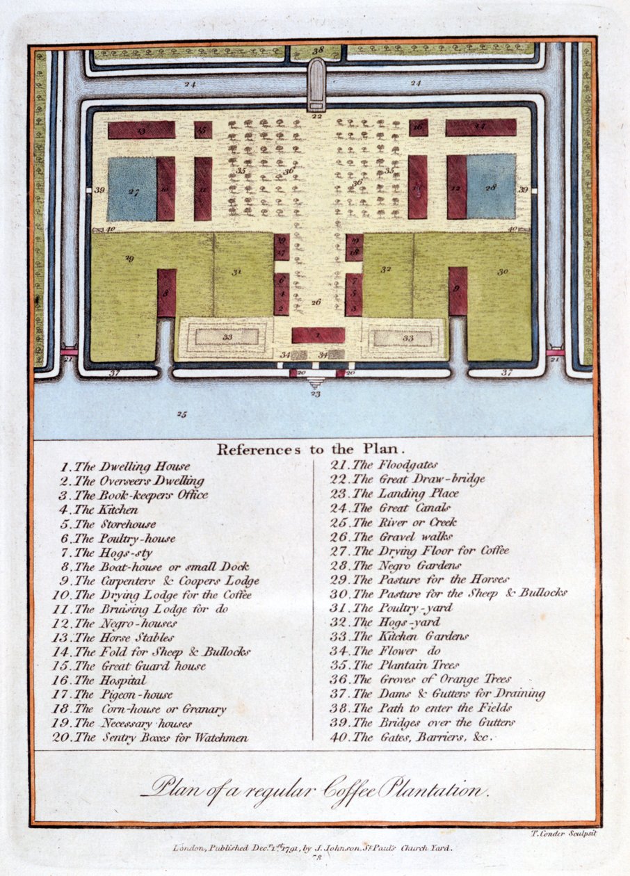 Plan over en almindelig kaffeplantage, 1813 af John Gabriel Stedman