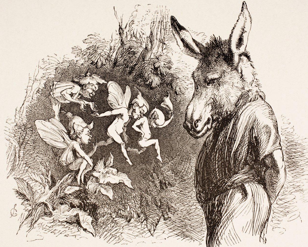 Illustration til A Midsummer Night