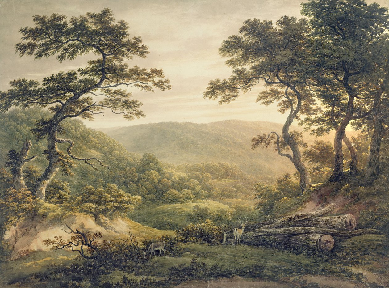 Needlewood Forest, Hampshire (akvarel på papir) af John Glover