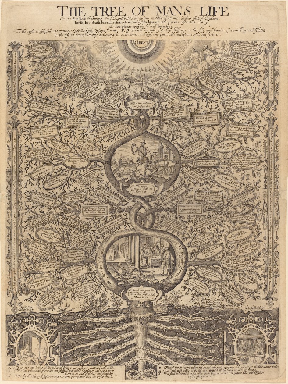 Menneskets Livs Træ af John Goddard, after Richard Dey