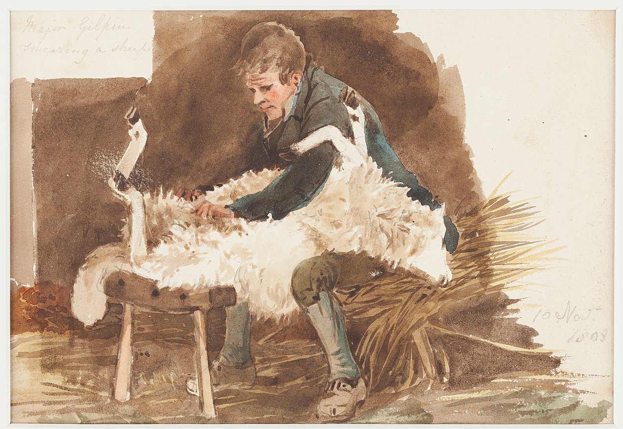 Klipning af får, 1808 (wc på papir) af John Harden