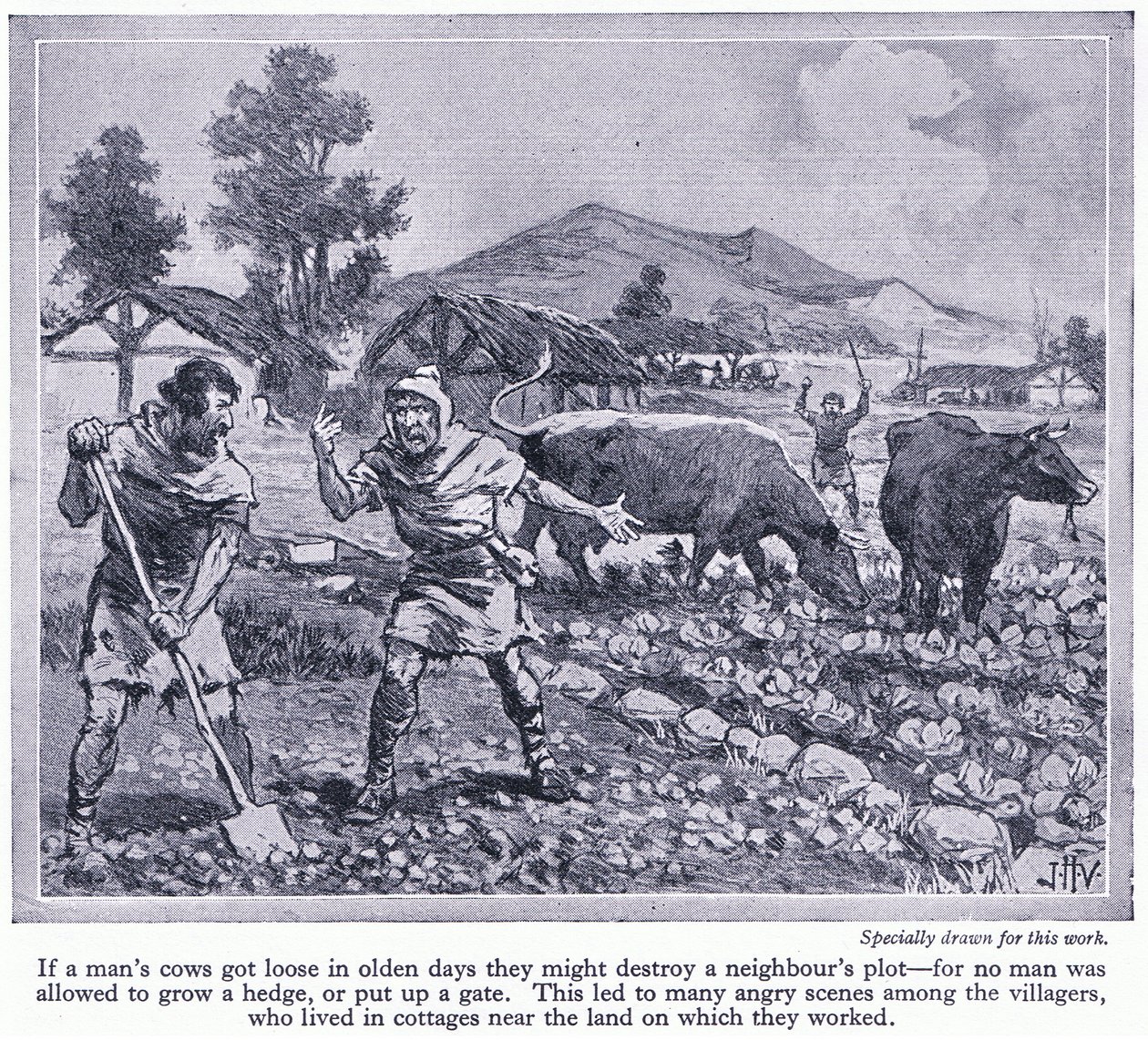 Ingen mand måtte dyrke en hæk eller sætte en låge op. Dette førte til mange skænderier blandt landsbyboere, ca. 1950 af John Harris Valda