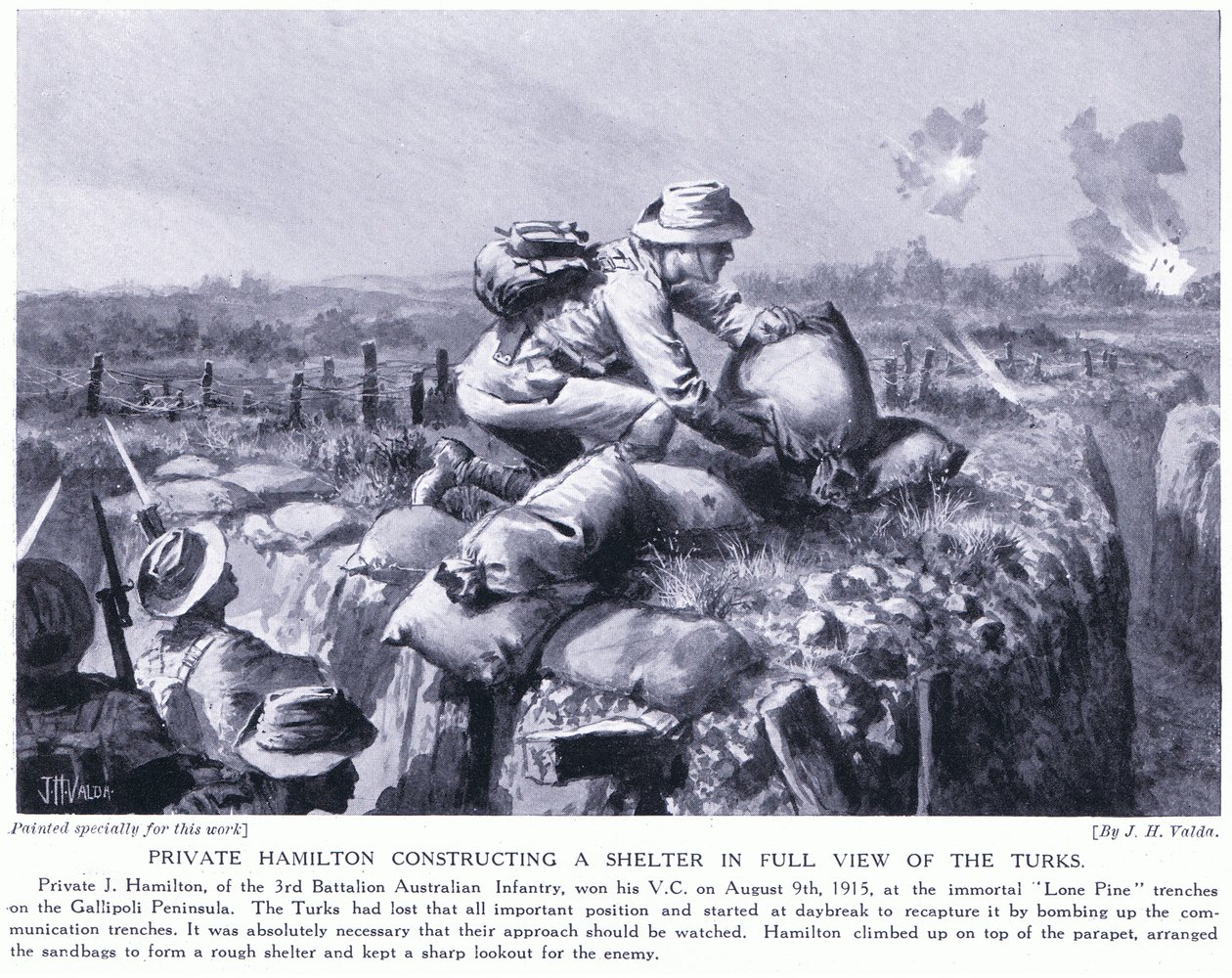 Menig Hamilton konstruerer et shelter med fuld udsigt over tyrkerne ved Lone Pine-skyttegravene på Gallipoli-halvøen august 1915 af John Harris Valda