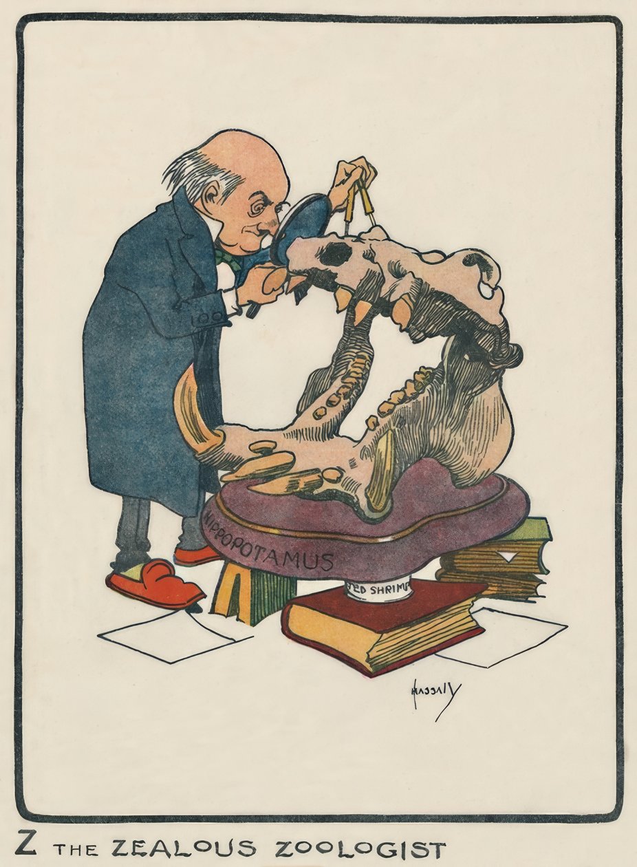 Z den nidkære zoolog / J. Hassall / tegning, 1903 af John Hassall