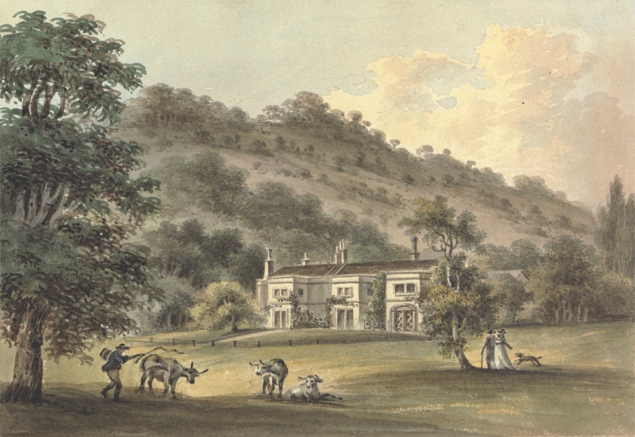 Grove Cottage, Box Hill, Surrey, sæde for George Barclay Esq. af John Hassell