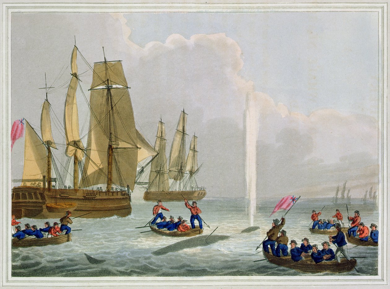 Boats Approaching a Whale, graveret af Matthew Dubourg (fl.1785-1820), udgivet af Edward Orme, 1813 af John Heaviside Clark