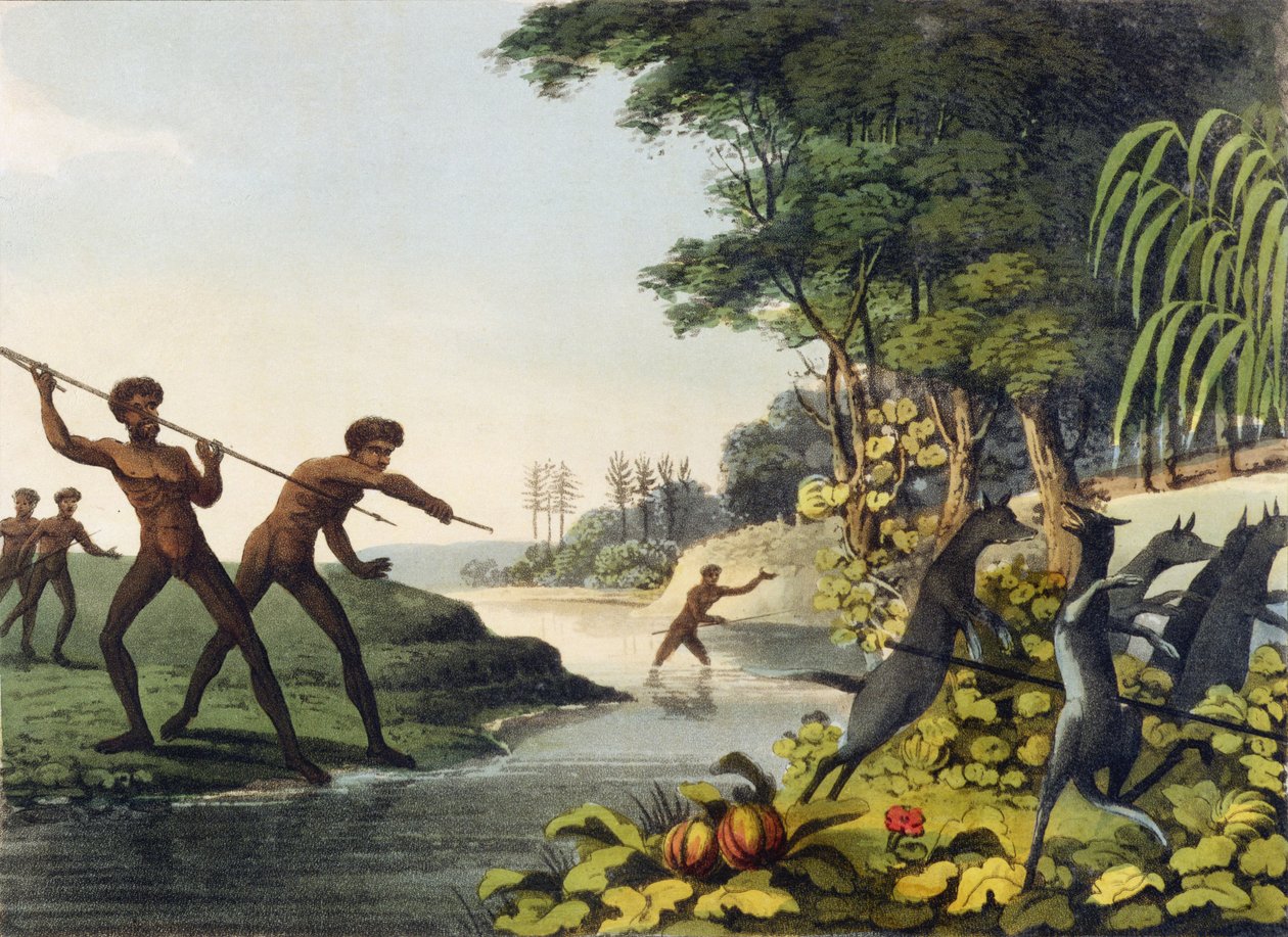 Jagt på kænguruen, aboriginer i New South Wales graveret af Matthew Dubourg (fl.1813-1820) 1813 af John Heaviside Clark