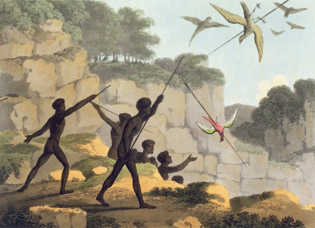 Kastende spyd, aboriginere på fuglejagt i New South Wales, graveret af Matthew Dubourg (f.1813-1820) pub. 1813 af John Heaviside Clark