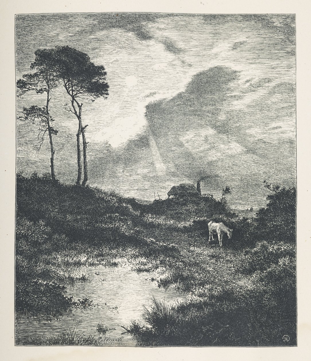 Tavle 15. En pastoral scene.  Naturbilleder. En serie på tredive originale illustrationer tegnet på træ af J. H. Dell og graveret af R. Paterson.  John Henry Dell af John Henry Dell