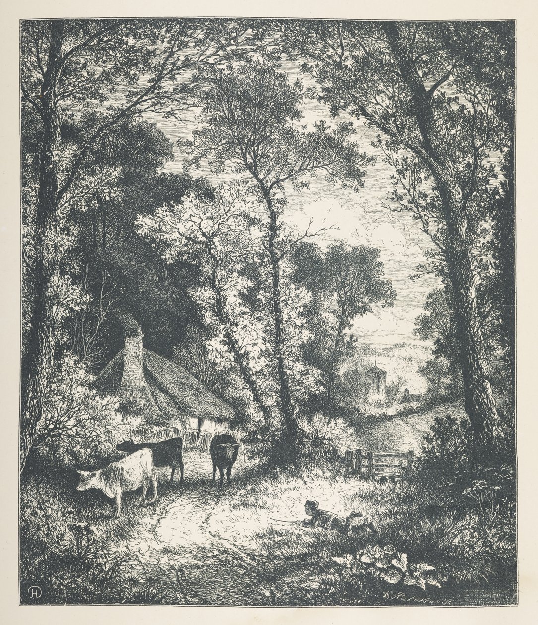 Plade 21. Kvæg, fra 