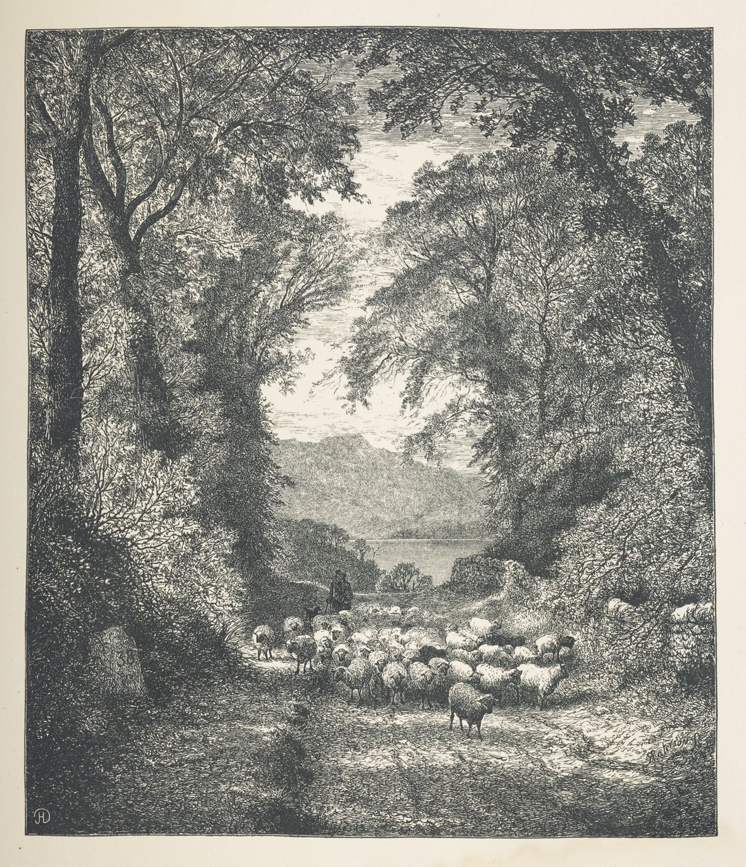 Plade 4. Får bliver drevet af en hyrde langs en sti.  Naturbilleder. En serie på tredive originale illustrationer tegnet på træ af J. H. Dell og graveret af R. Paterson.  John Henry Dell af John Henry Dell
