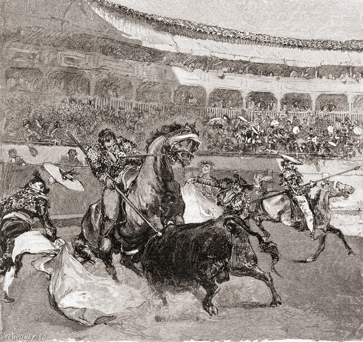 En tyrefægtning i Sevilla, Spanien, fra The Century Illustrated Monthly Magazine, udgivet 1884 (trægravering) af John Henry Ellsworth Whitney