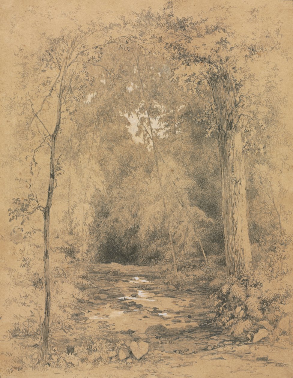 Skovinteriør, ca. 1870. af John Henry Hill