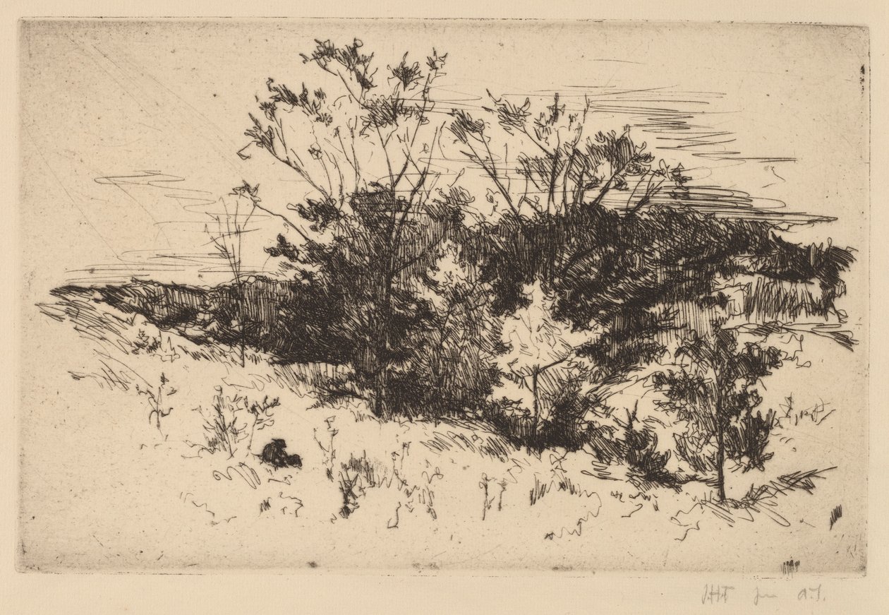 Efterår Avondale af John Henry Twachtman