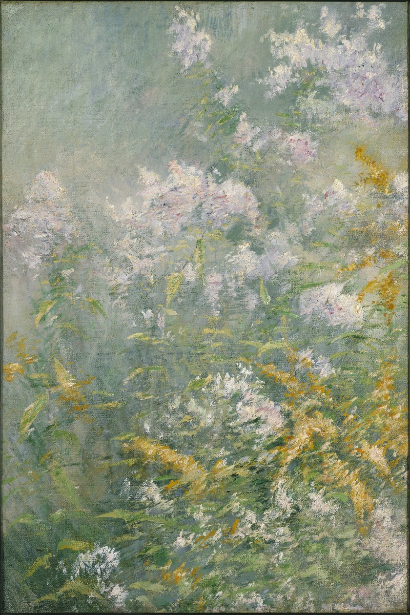 Meadow Flowers (Golden Rod and Wild Aster), ca. 1892 (olie på lærred) af John Henry Twachtman