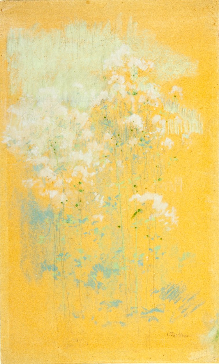 Vilde blomster af John Henry Twachtman