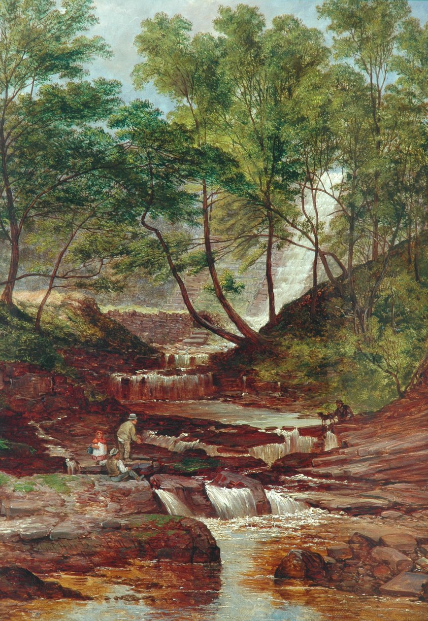 Cat Holes Dam Fall i Todmorden, 1870 af John Holland
