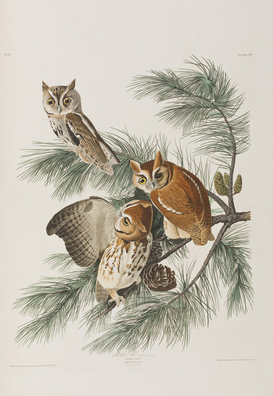 Illustration fra 