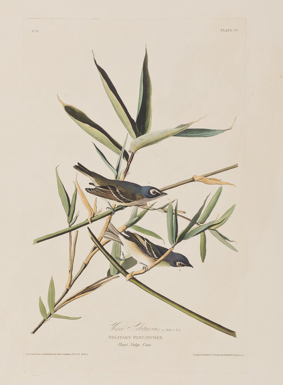 Illustration fra 