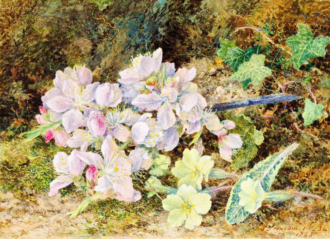 Mandelblomster og primula, 1868 (wc på kort) af John Jesson Hardwick
