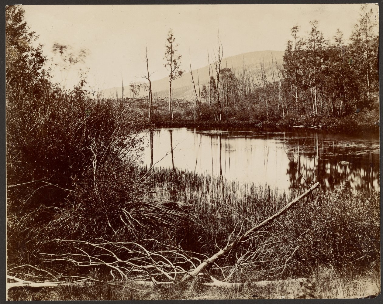 Morain Lake, Aquarius PLateau af John K. Hillers