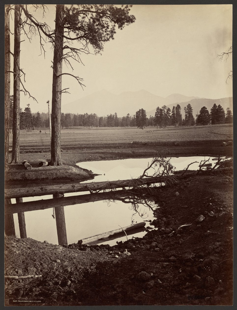 San Francisco-bjergene, Arizona af John K. Hillers