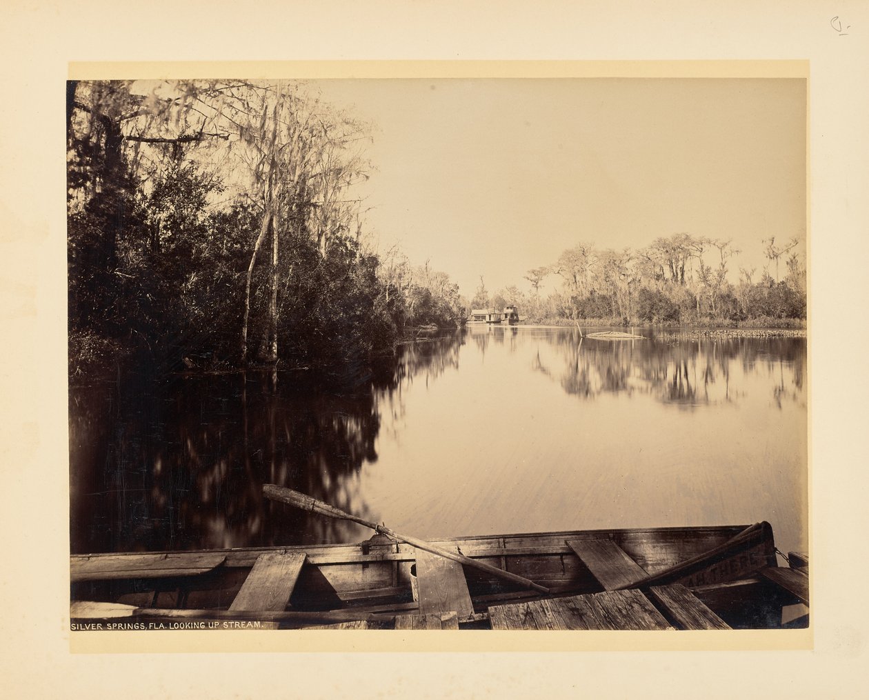 Silver Springs, Florida, set opstrøms af John K. Hillers