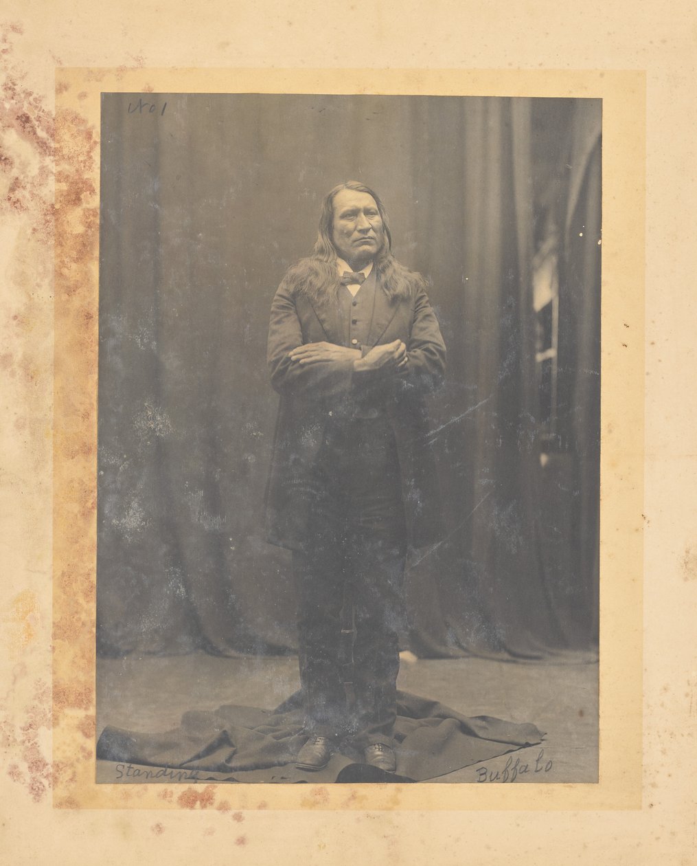 Stehender Büffel af John K. Hillers