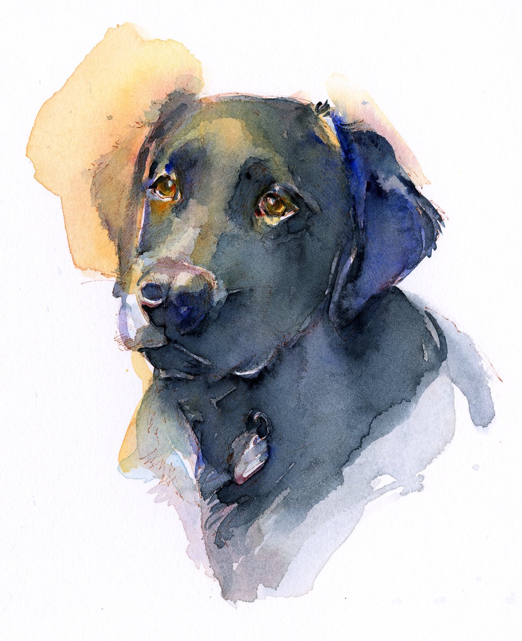 Black Lab, 2017, (akvarel) af John Keeling