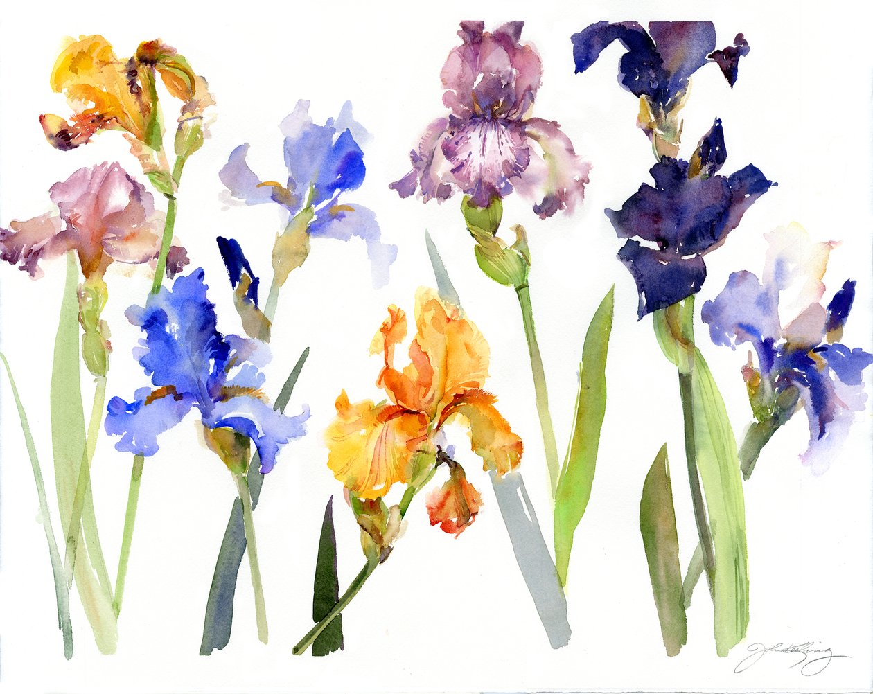 Iris, 2014, (akvarel) af John Keeling