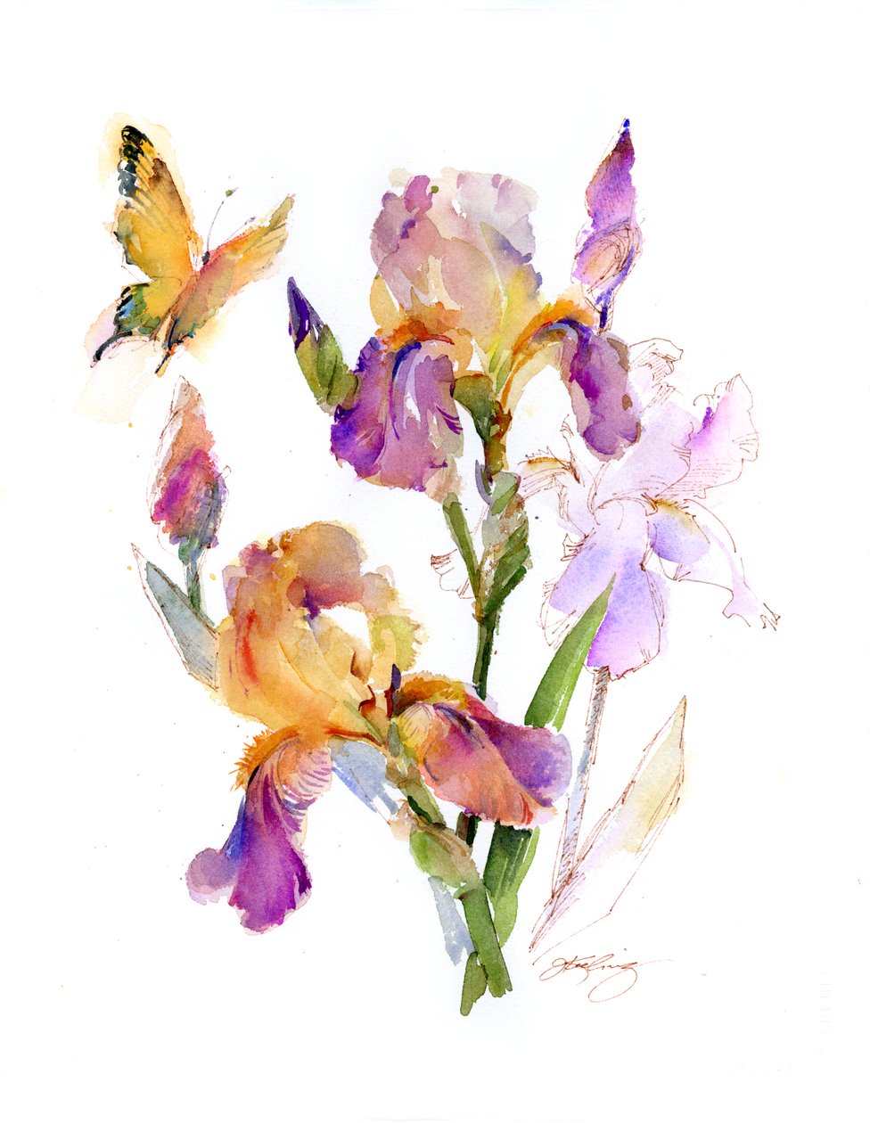 Iris med gul sommerfugl, 2016, (akvarel) af John Keeling