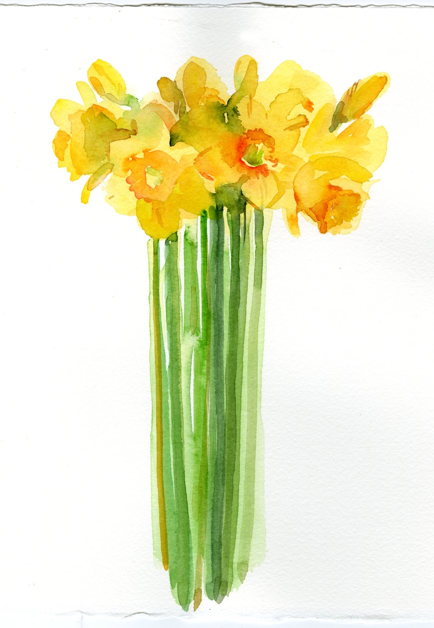 Narcissus-buket; 2014; (akvarel) af John Keeling