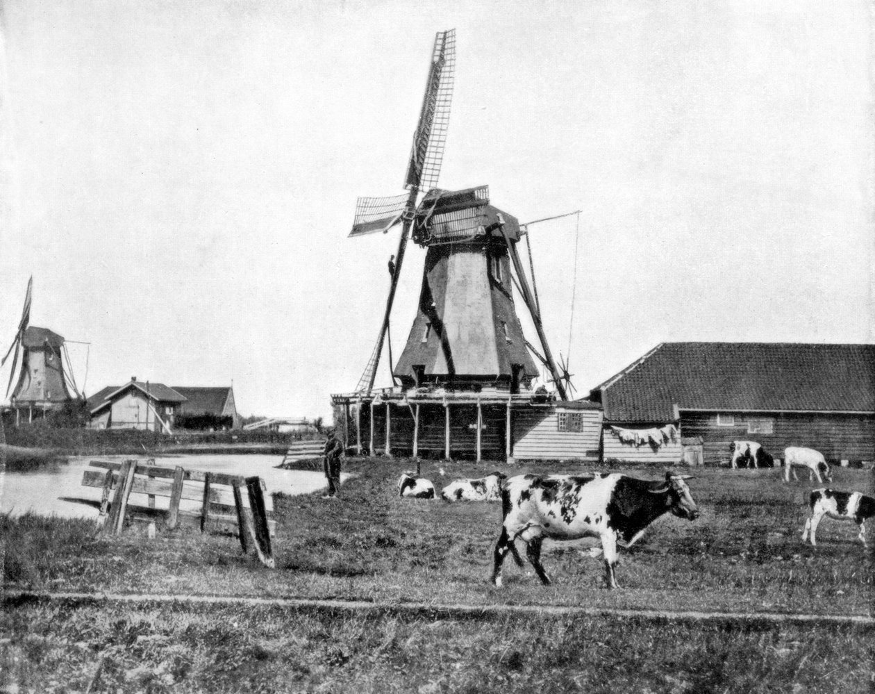 Hollandske vindmøller, Holland, slutningen af det 19. århundrede af John L. Stoddard