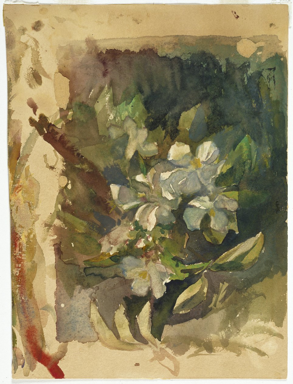 Æbleblomster i sollys (wc på papir) af John La Farge or Lafarge