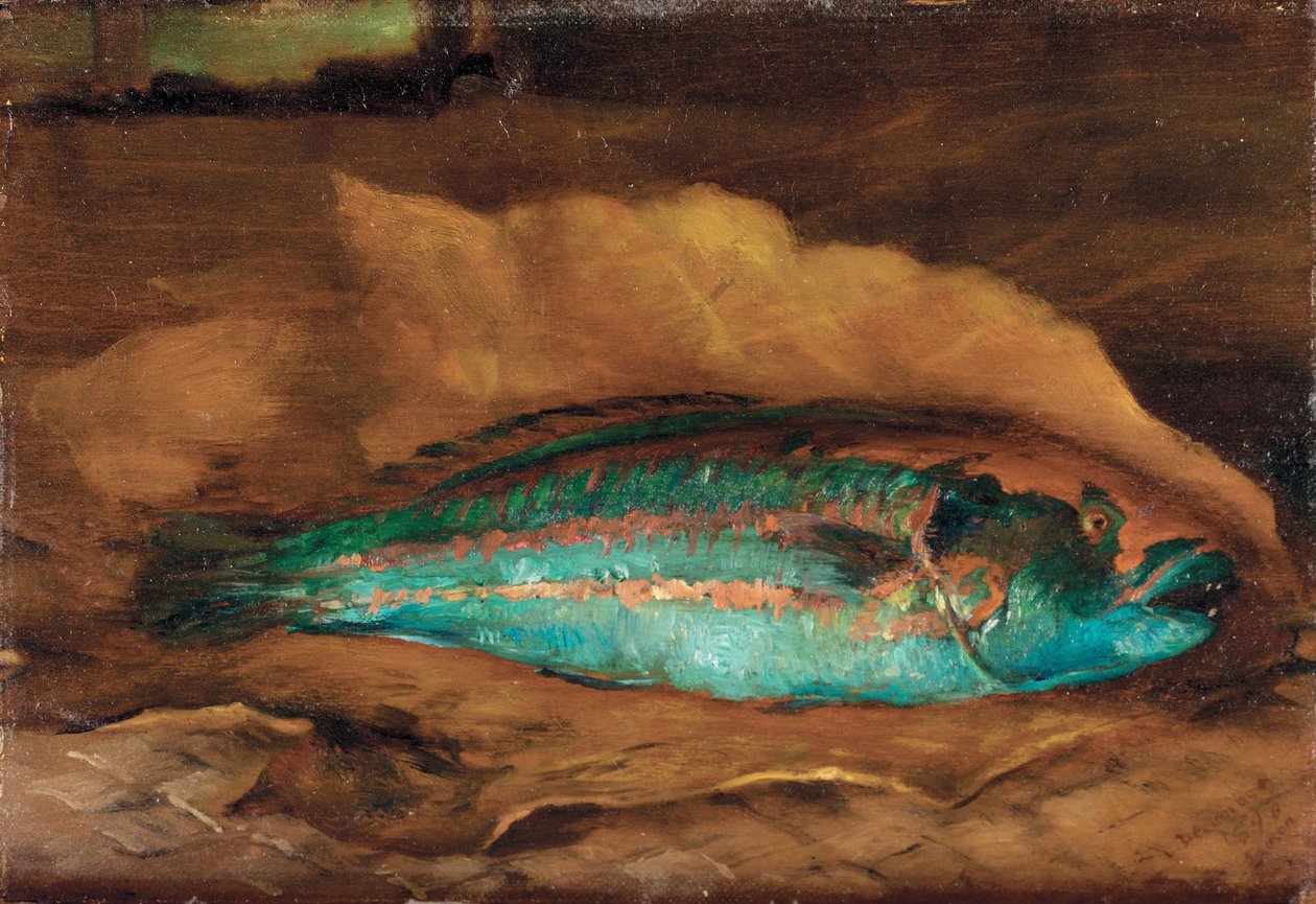 Studie af papegøjefisken, Samoa, 1890 af John La Farge or Lafarge