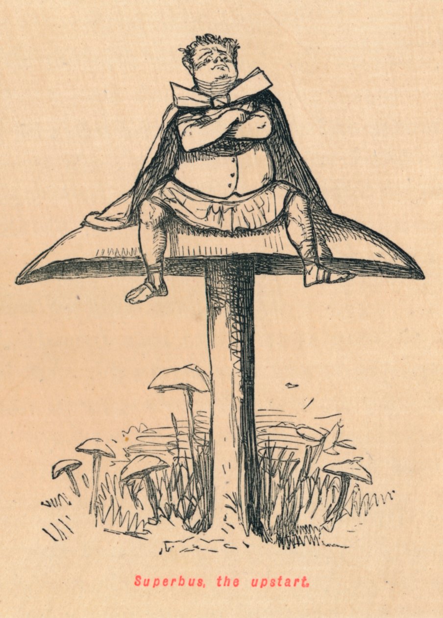 Superbus, opkomlingen, 1852 af John Leech