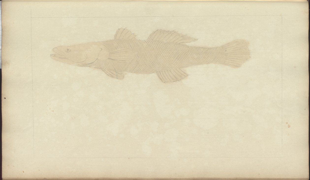 Lindsay Drawings Vol. VII, 22 af John Lindsay