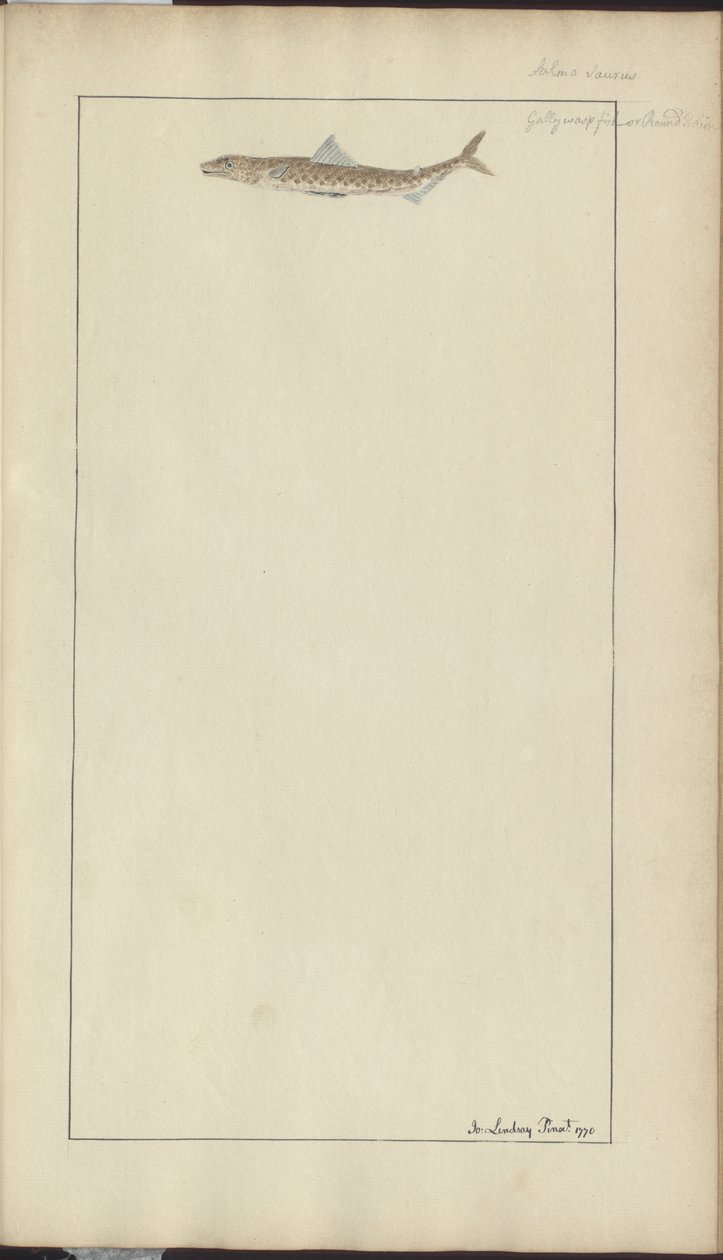 Lindsay Drawings Vol. VII, 23 af John Lindsay