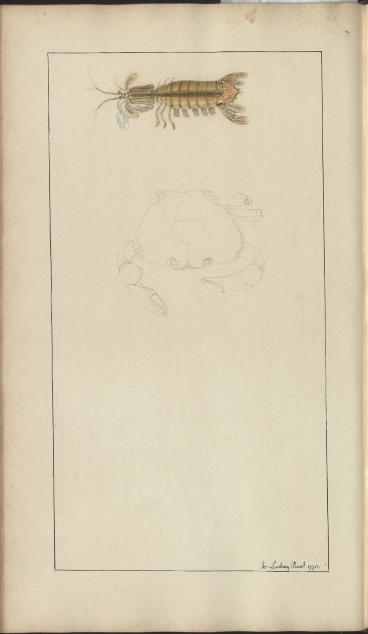 Lindsay Drawings Vol. VII, 24 af John Lindsay