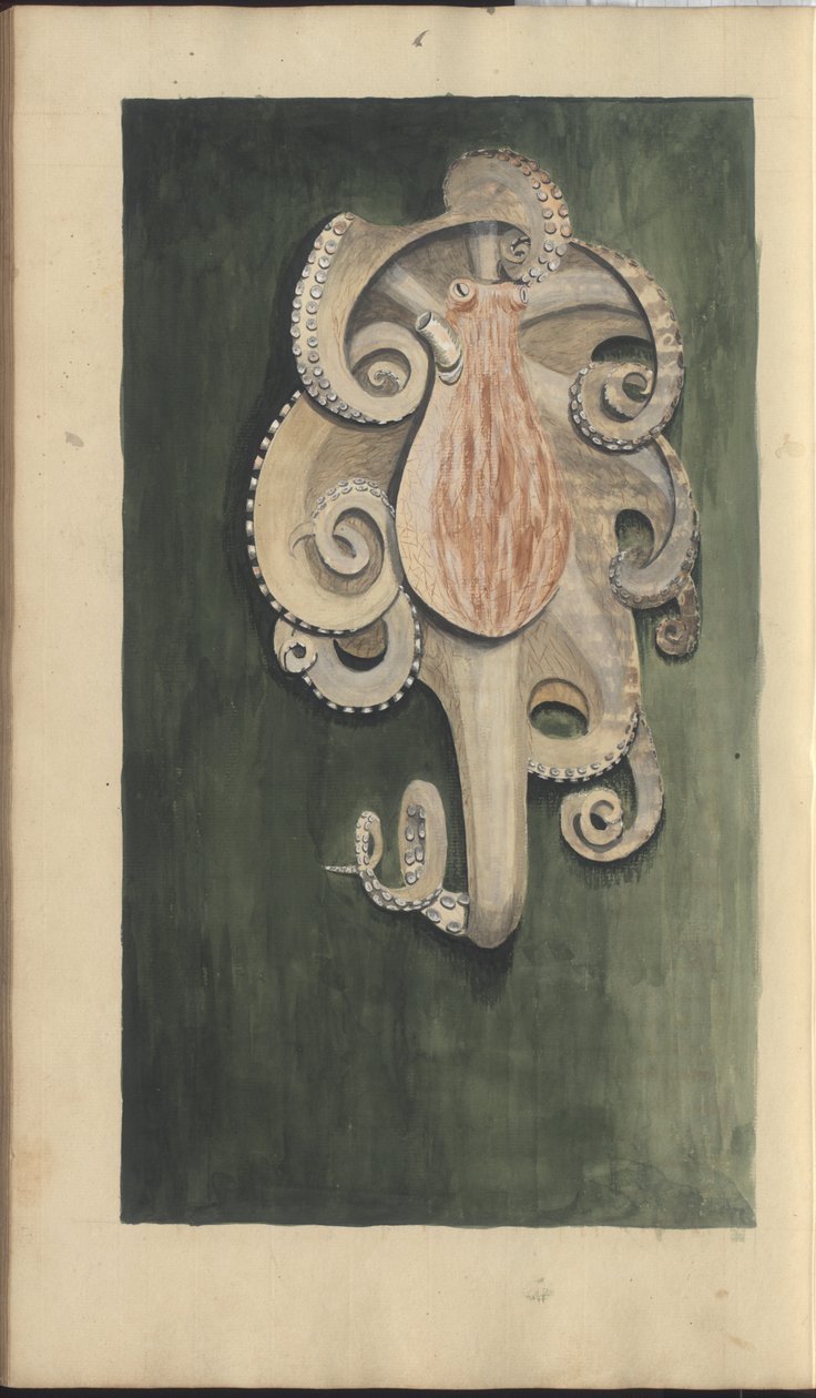 Lindsay Drawings Vol. VII, 28 af John Lindsay