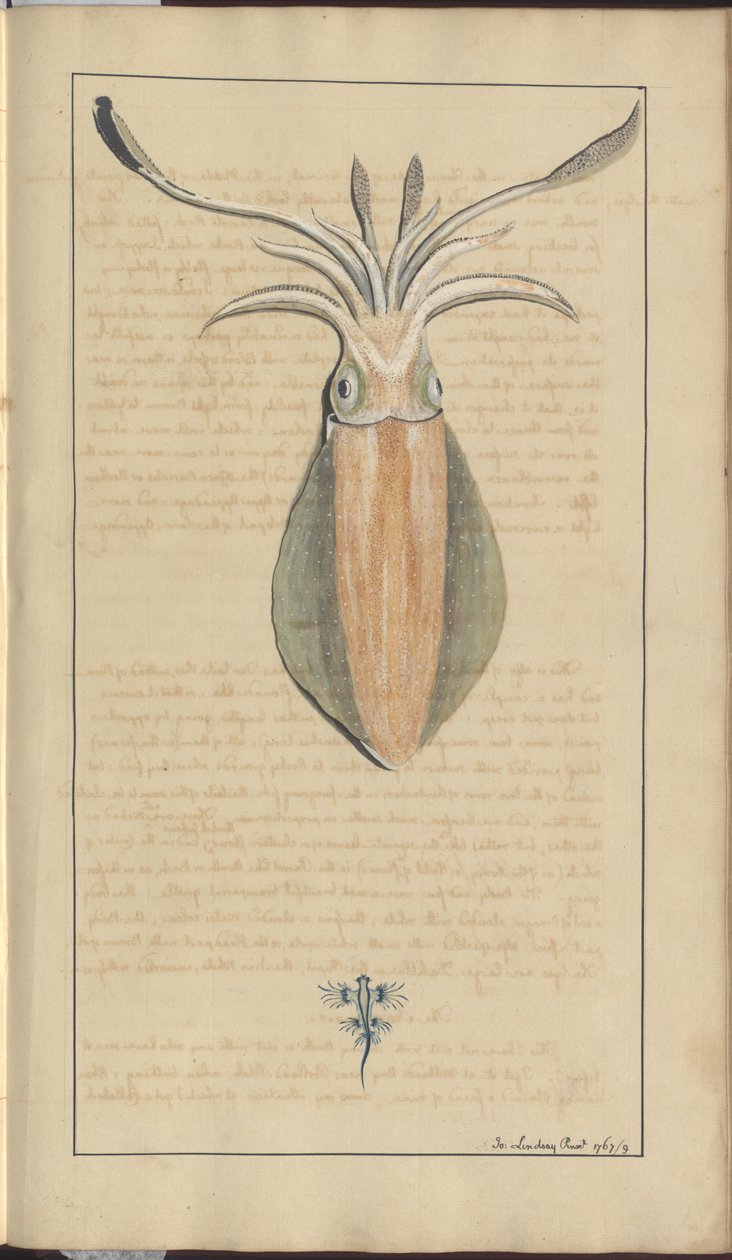 Lindsay Drawings Vol. VII, 29 af John Lindsay