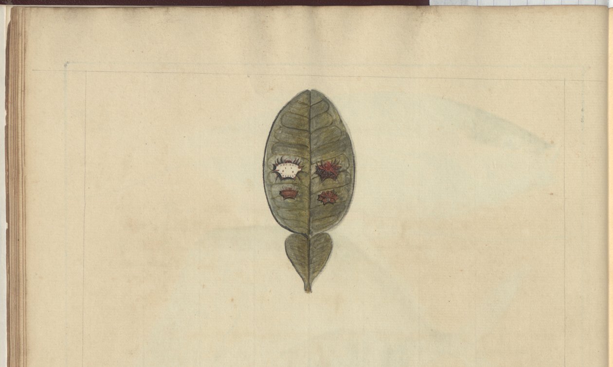 Lindsay Drawings Vol. VII, 3 af John Lindsay